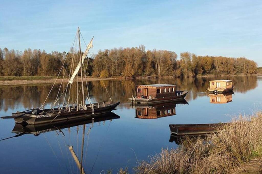 Gite La Gabare Entre Loire Et Chambord Villa Saint-Dyé-sur-Loire Eksteriør bilde